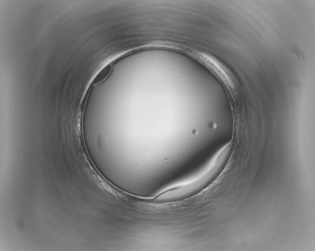 X0000115801292200912041526