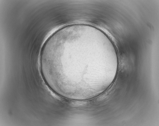 X0000115801294200912041526