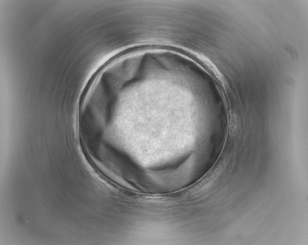 X0000115801295200912041526