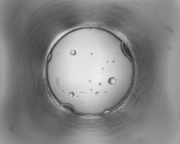 X0000115801296200912041526