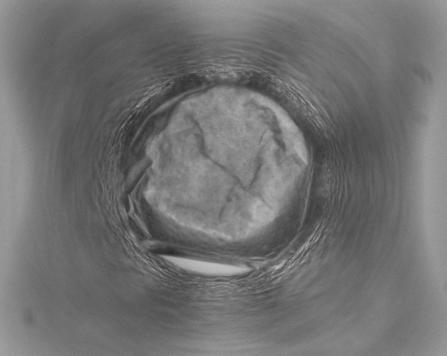 X0000115801297200912041525