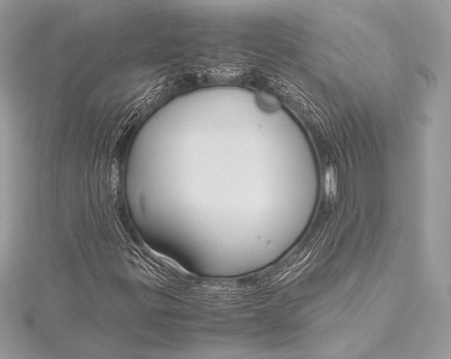 X0000115801299200912041525