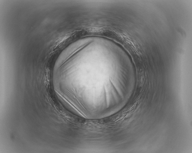 X0000115801301200912041525