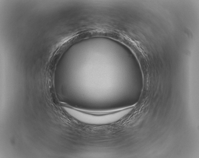 X0000115801303200912041525