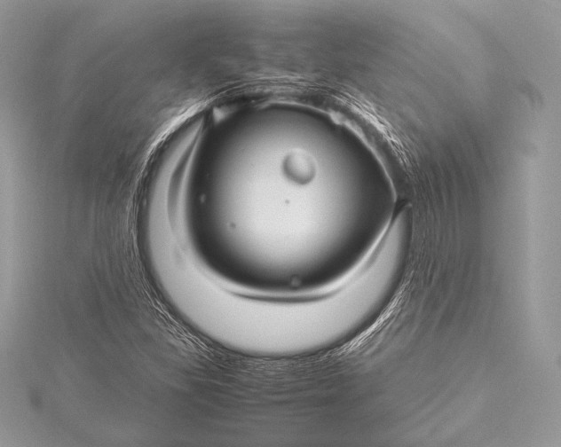 X0000115801309200912041525