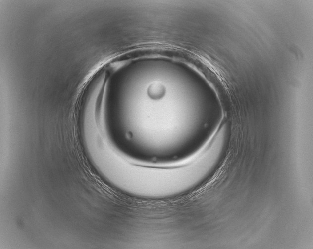 X0000115801310200912041525