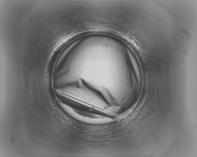 X0000115801311200912041525