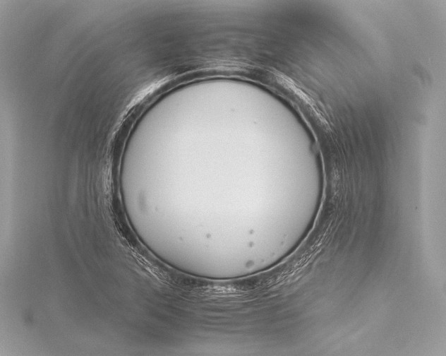 X0000115801315200912041525