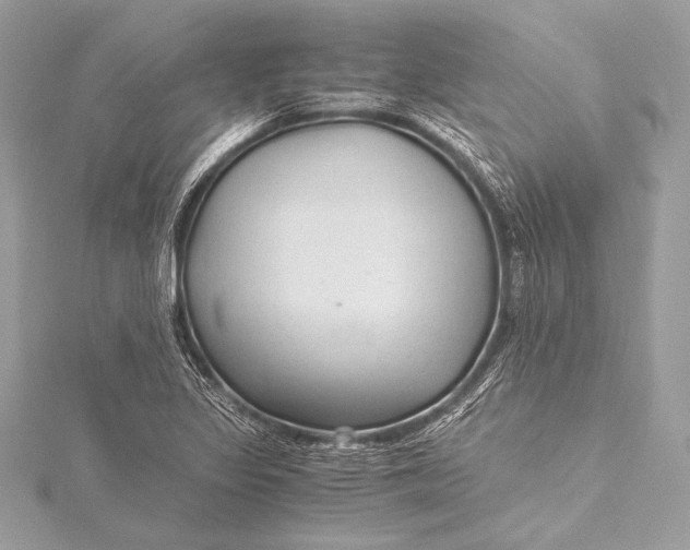 X0000115801317200912041525