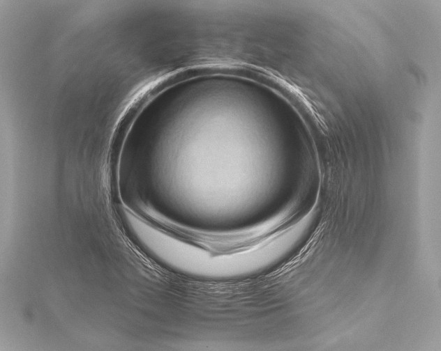 X0000115801319200912041525