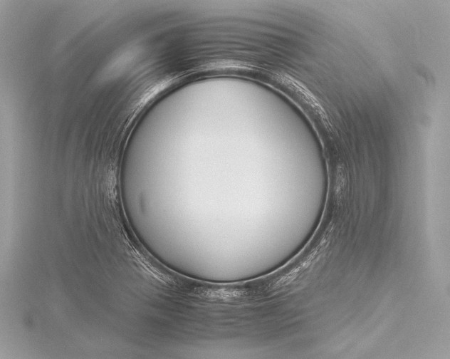 X0000115801321200912041525