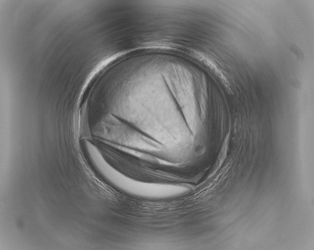 X0000115801323200912041525