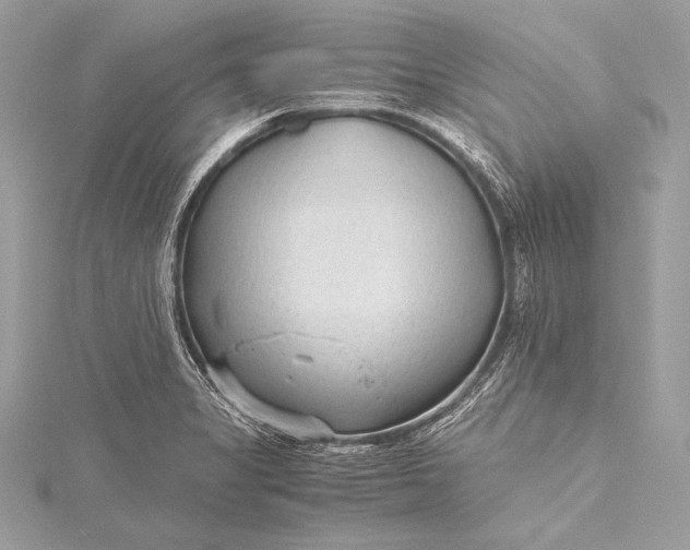 X0000115801325200912041525