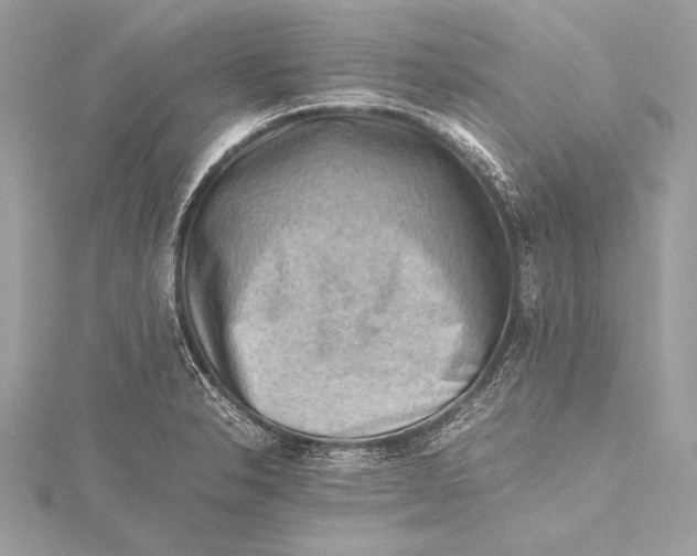 X0000115801326200912041525