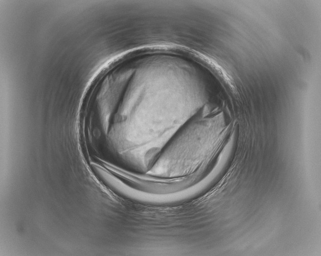 X0000115801327200912041525