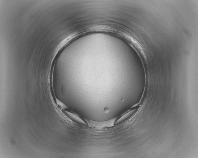 X0000115801330200912041525