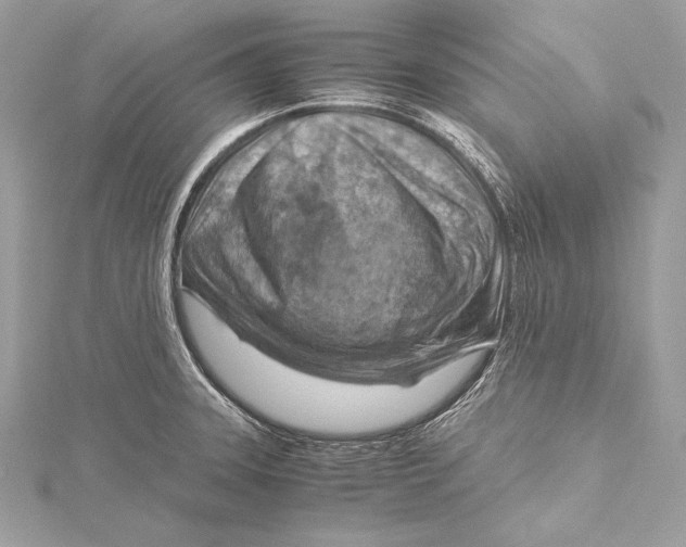 X0000115801331200912041525