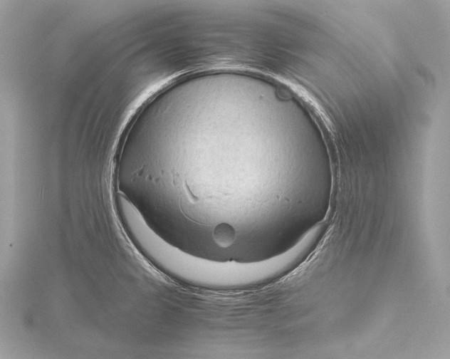 X0000115801333200912041525