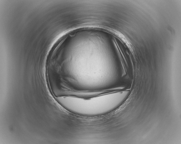 X0000115801334200912041525