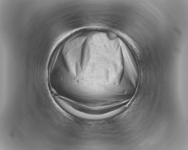 X0000115801335200912041526