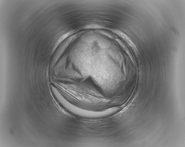 X0000115801337200912041526