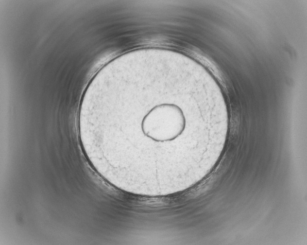 X0000115801338200912041526