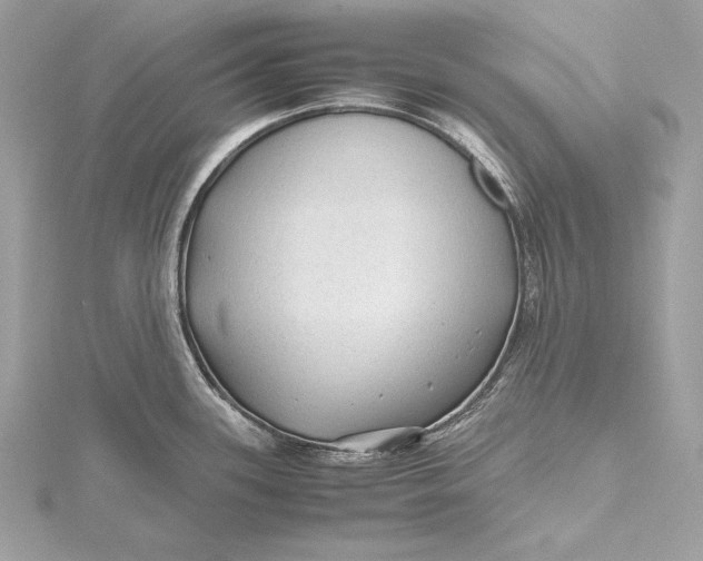 X0000115801339200912041526