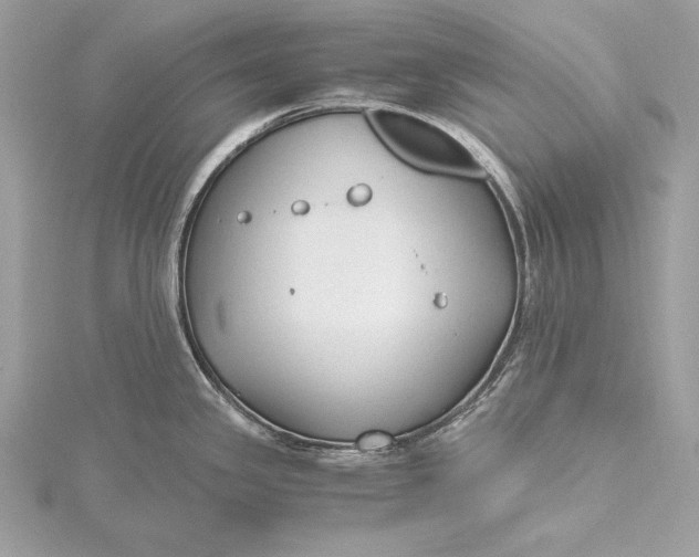 X0000115801341200912041526