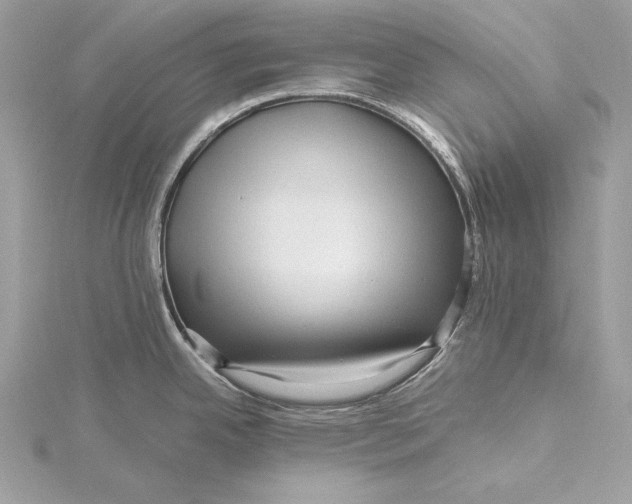 X0000115801342200912041526