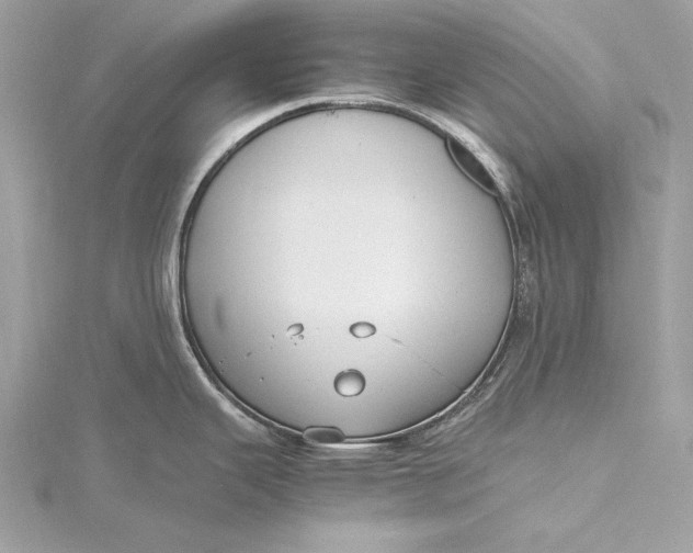 X0000115801343200912041526