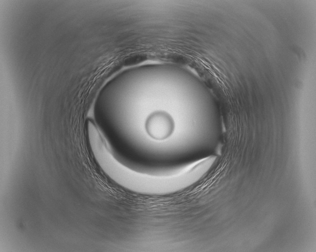 X0000115801345200912041525