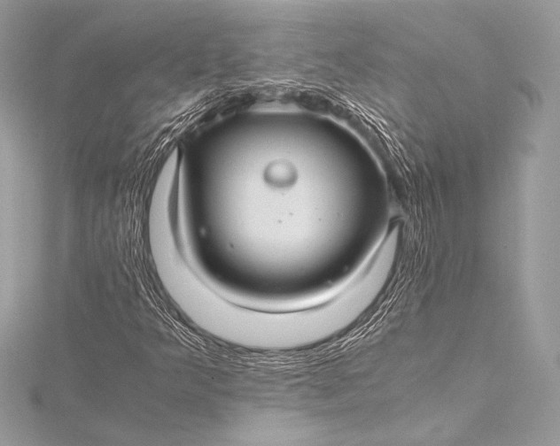 X0000115801349200912041525