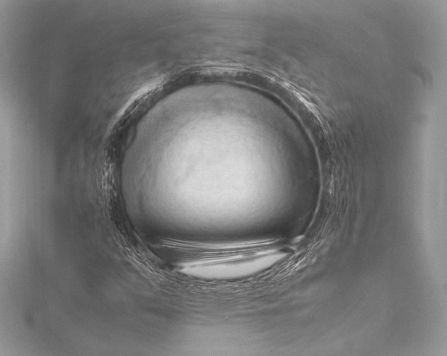 X0000115801351200912041525