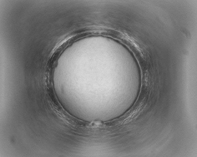 X0000115801352200912041525