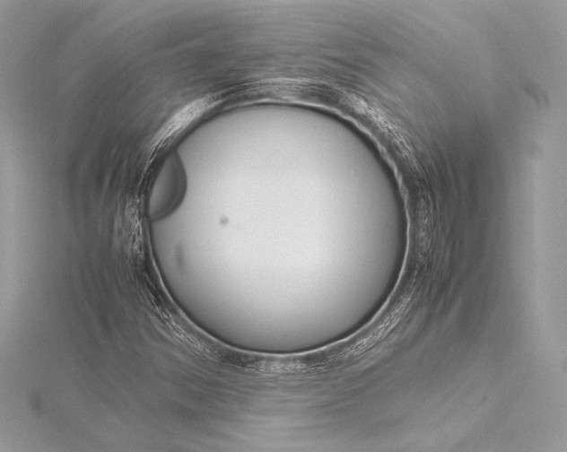 X0000115801354200912041525