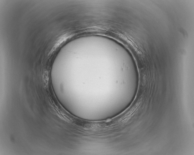 X0000115801355200912041525