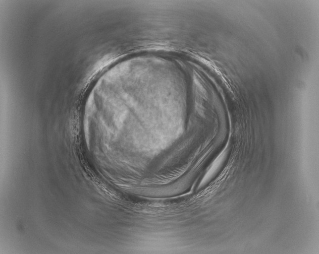 X0000115801359200912041525