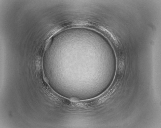 X0000115801361200912041525