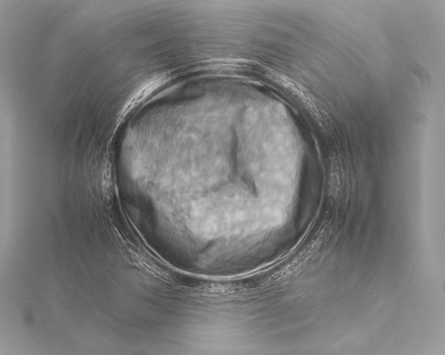 X0000115801362200912041525