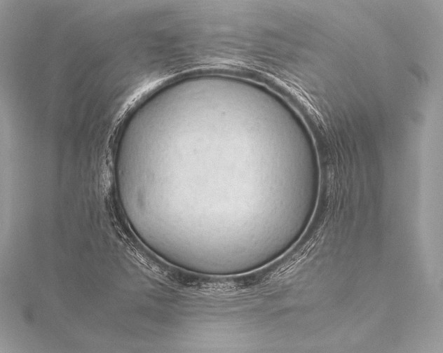 X0000115801363200912041525