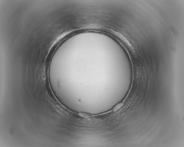 X0000115801364200912041525