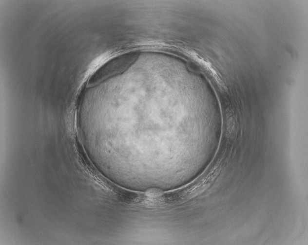 X0000115801365200912041525