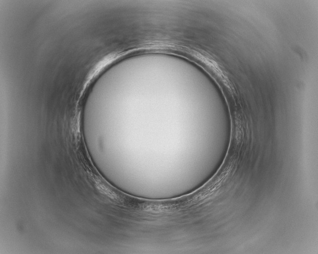 X0000115801366200912041525