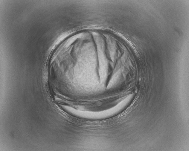 X0000115801367200912041525