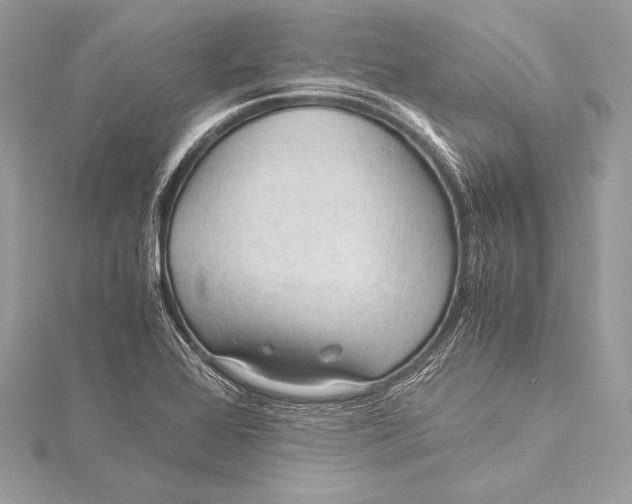 X0000115801368200912041525