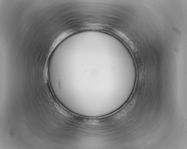 X0000115801370200912041525