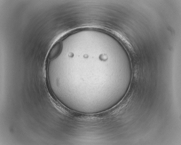 X0000115801372200912041524