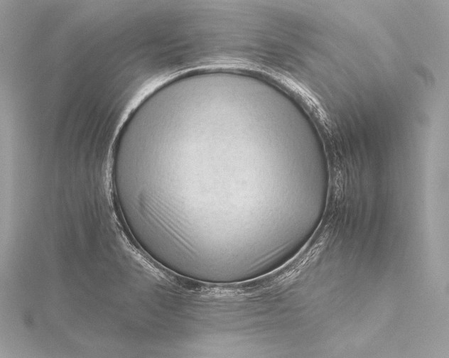 X0000115801374200912041524