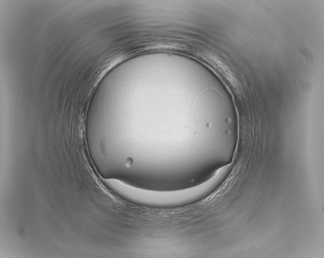 X0000115801377200912041524