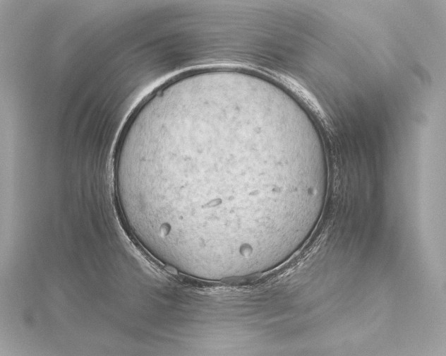 X0000115801380200912041524